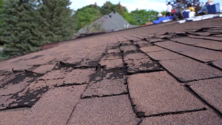 Best Roof Leak Repair  in Lan, MI