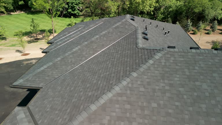 Best Asphalt Shingle Roofing  in Lan, MI