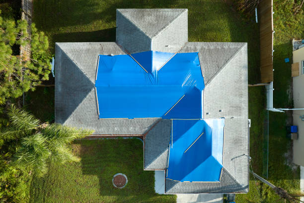 Best Asphalt Shingle Roofing  in Lan, MI