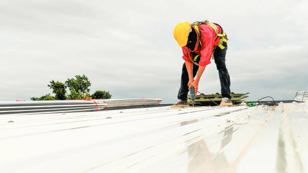 Best Rubber Roofing (EPDM, TPO)  in Lan, MI