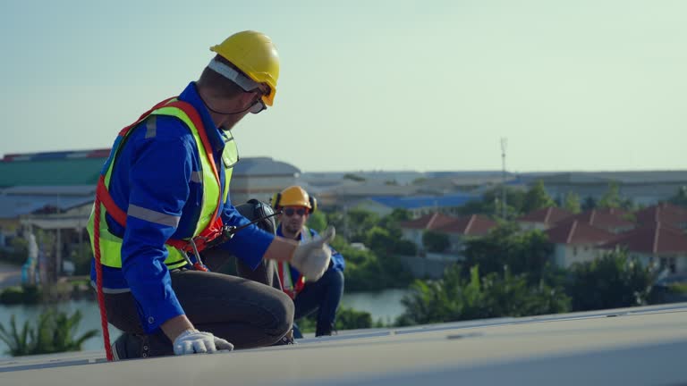 Best Roof Waterproofing  in Lan, MI